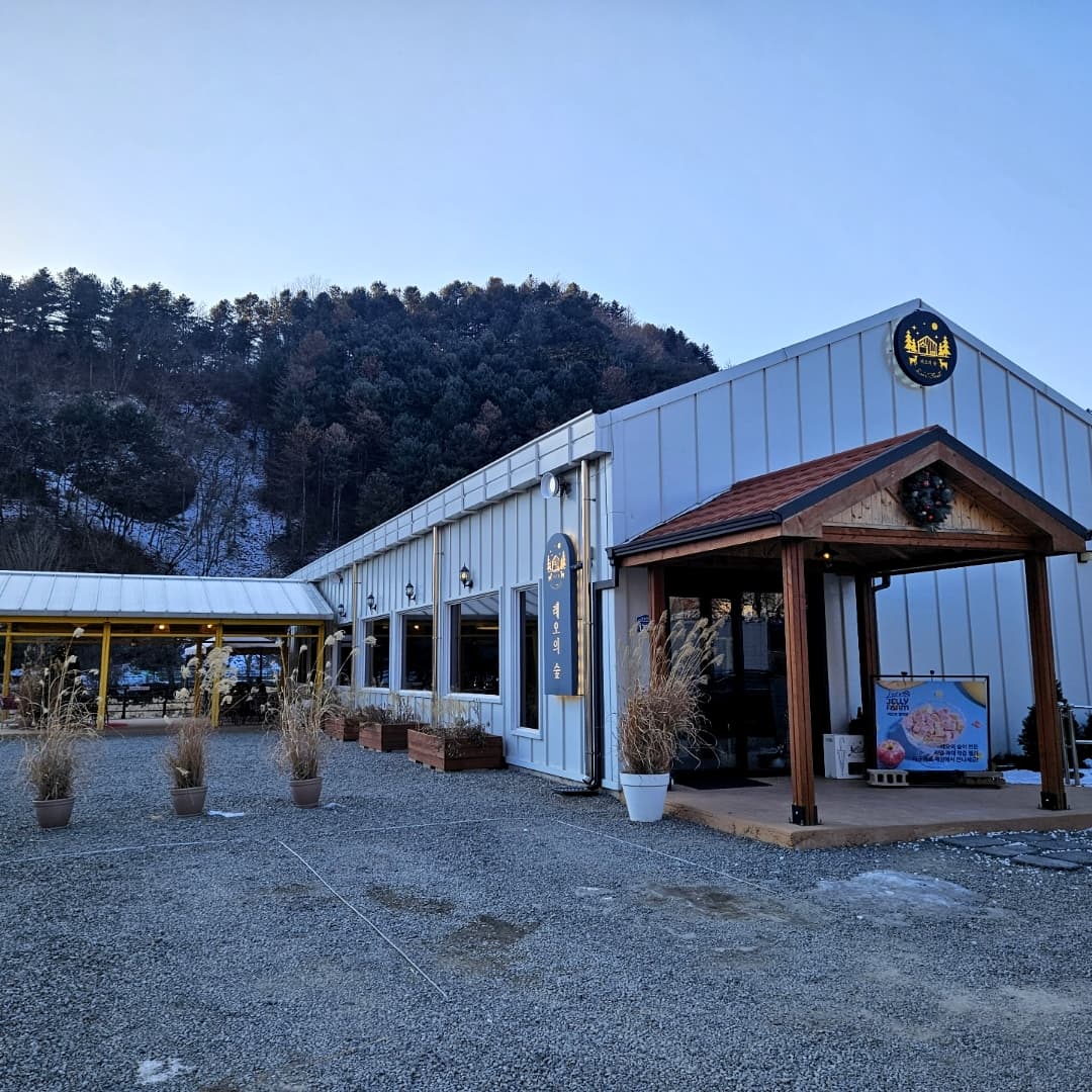레오의 숲